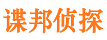 淮上市调查公司